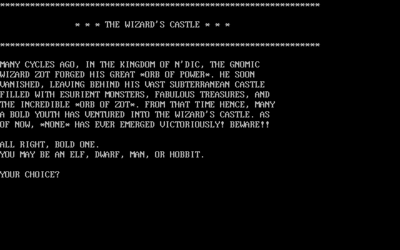 The Wizard's Castle The Wizard's Castle